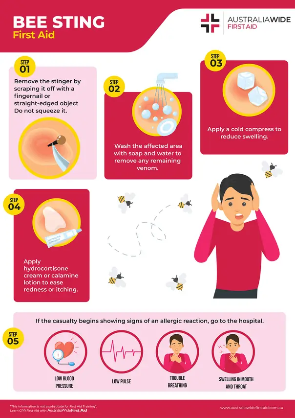 Insect Bites